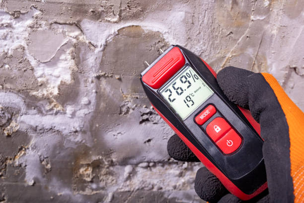 Home Mold Removal in Northglenn, CO